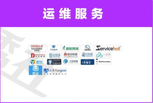 日志易再次入选中国企业服务云图
