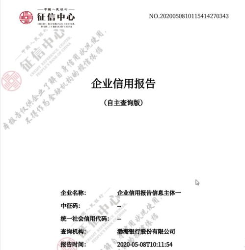 全天候 全免费 渤海银行为近3000家小微企业提供7 24小时企业信用自助查询服务